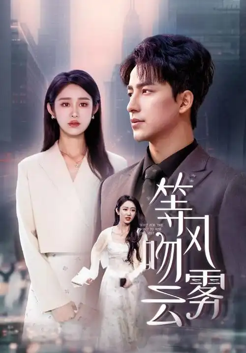 风暴眼 职场悬疑电视剧全集在线观看